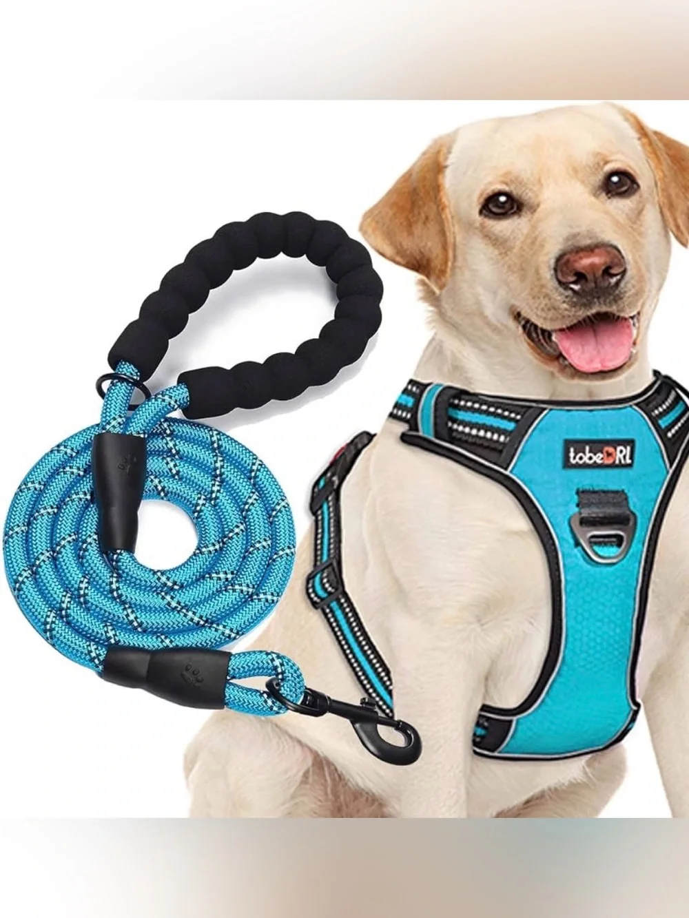 Blue Dog Large Harness and Leash Set